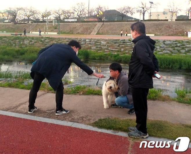 전북 정읍시는 실외에서 키우는 일명 '마당 개' 중성화 수술비 지원사업을 추진한다. (정읍시 제공)© 뉴스1