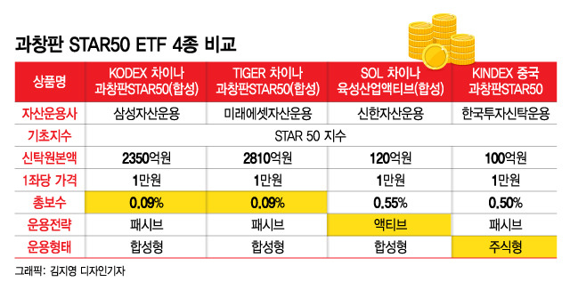 /그래픽=김지영 디자인기자