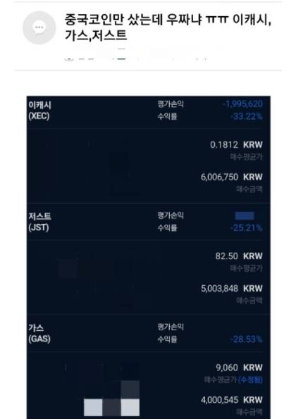 중국코인에 투자했다가 손실을 본 투자자가 호소하고 있다. [국내 한 커뮤니티 갈무리]