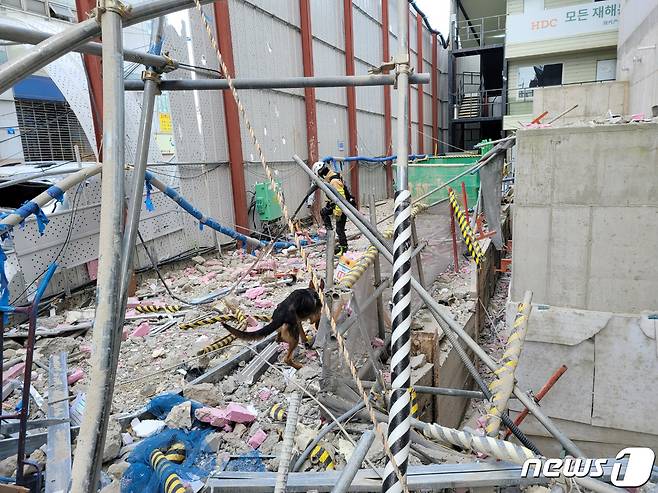 14일 오후 광주 서구 화정동 '현대산업개발 아파트 신축공사 붕괴사고' 현장에서 소방당국이 인명구조견과 함께 실종자 수색을 하고 있다. 지난 11일 오후 3시46분쯤 해당 아파트 공사현장에서 붕괴 사고가 발생해 6명이 실종됐다.(소방청 제공) 2022.1.14/뉴스1 © News1 정다움 기자