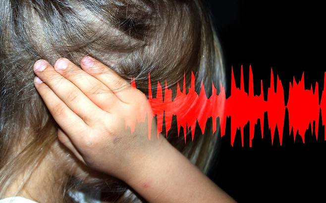 소음 자료사진. /pixabay