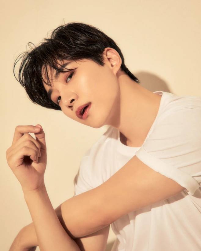 티브이데일리 포토