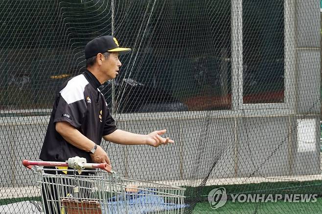 티배팅을 돕는 김성근 감독 고문 [연합뉴스 자료사진]