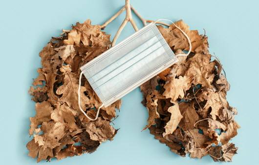 폐는 한 번 손상되어 섬유화가 진행되면 되돌리기 힘들기 때문에 예방이 무엇보다 중요하다