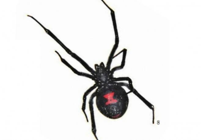 게티이미지뱅크 제공