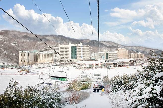 비발디파크 스키장