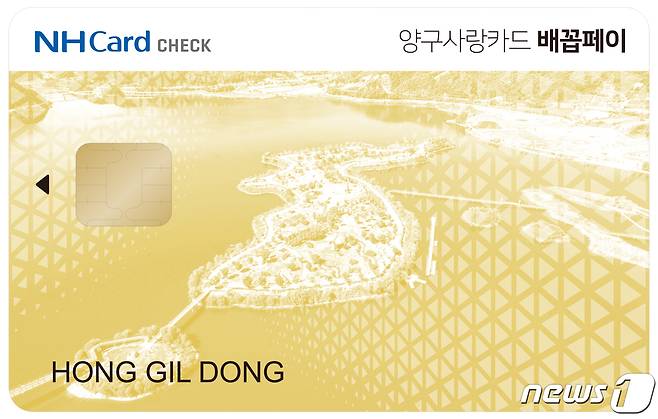 강원 양구사랑상품권 카드형.(뉴스1 DB)