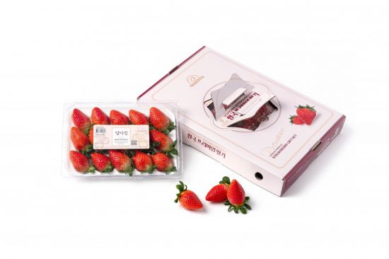 경상북도에서 생산된 딸기 알타킹이 해외에서 인기를 끌며 지난해 수출이 전년보다 3배 가량 늘었다.