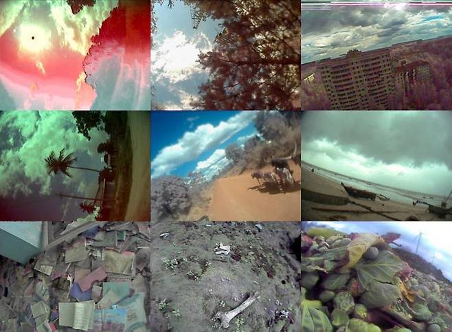 송상희 ‘대지의 노래’( 2021, 7채널 비디오 설치, 컬러, 사운드, 가변 크기). 기름유출 피해지역인 태안, 제2차 세계대전 당시 부모보다 먼저 죽은 아이들이 묻힌 일본 오소레산 등지를 촬영했다. 작품은 내용은 진혼의 순례다. “자유로운 새의 시점과 같이 장대 끝에 카메라를 달아 탄자니아의 망고 나무를 담는 등 장소마다 적합한 시점을 구현하기 위해 카메라를 가슴에 걸거나 신발, 배낭에 부착하는 등 실험적인 촬영 방식을 시도”한 작품이기도 하다. 사진 홍철기, 서울시립미술관 제공