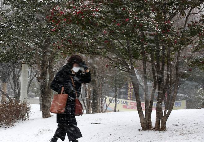 눈이 내리며 기온이 떨어진 지난 11일 오전 광주 서구 치평동에서 한 시민이 출근길 발걸음을 재촉하고 있다. /연합뉴스