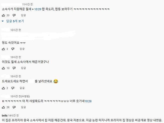 사진=유튜브 댓글 캡처