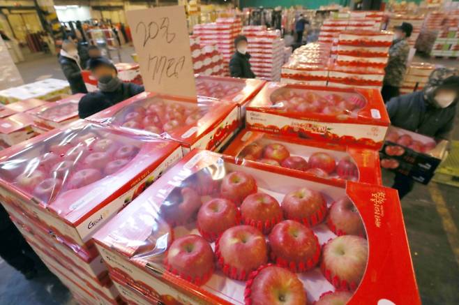 설을 앞두고 사과·배 가격이 지난해 설 때보다 하락할 전망이다. 사진은 서울 송파구 가락시장. /사진=뉴시스