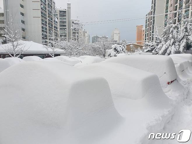50㎝ 이상 폭설이 쏟아진 지난달 25일 강원 속초의 한 아파트 단지에 주차된 차량에 눈이 쌓여 있다. 2021.12.25/뉴스1 © News1 윤왕근 기자