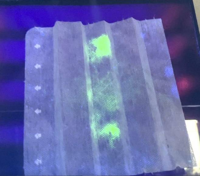 코로나19 샘플이 자외선 아래 마스크 필터에서 선명하게 보인다. ZME 사이언스 제공.