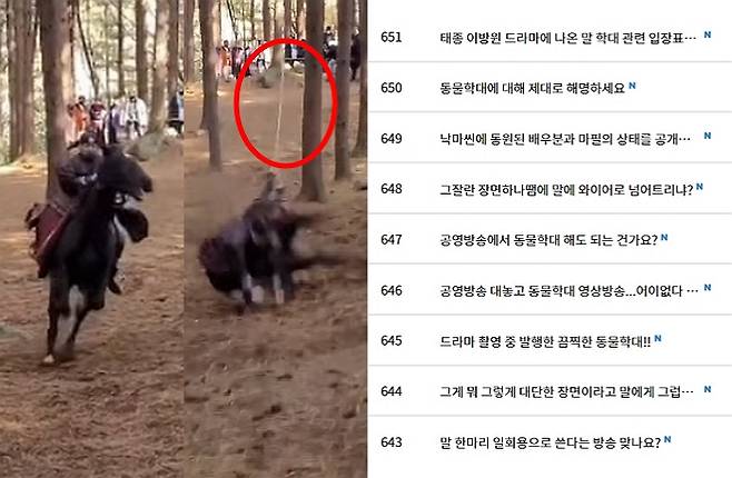 /사진=동물자유연대 공식 인스타그램(왼쪽), '태종 이방원' 시청자소감 게시판