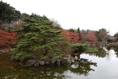 ⓒ시사IN 백승기 현충사 연못은 일본 교토 니조조 니노마루 연못을 본떠 만들어졌다고 한다.