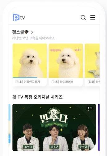 어바웃펫 앱