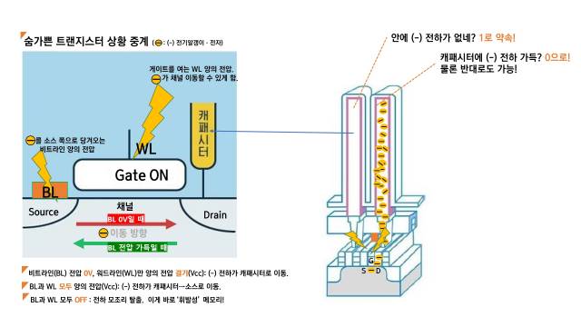 사진제공: 삼성전자, SK하이닉스