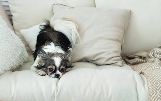 기사 내용과 무관한 참고 이미지 / 사진=게티이미지뱅크