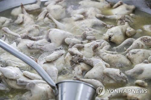 삼계탕 [연합뉴스 자료사진]