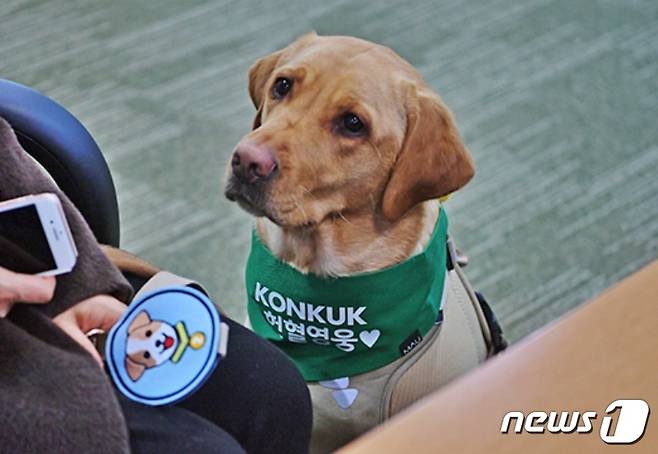 헌혈견(건국대 제공) © 뉴스1