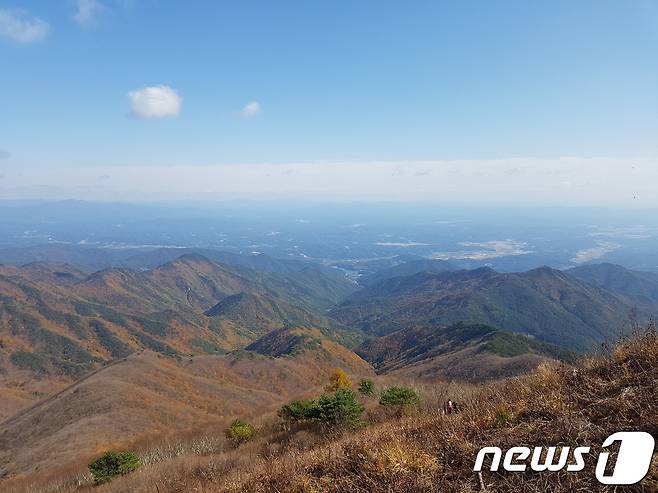 소백산 전경(소백산국립공원사무소 제공) © News1