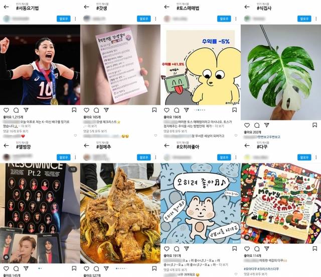 MZ세대들의 신조어를 SNS에 해시태그 검색하자 관련 게시물이 쏟아져 나온다. 인스타그램 캡처