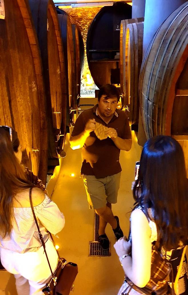 조셉 까땅 지하 셀러 대형 푸드르.