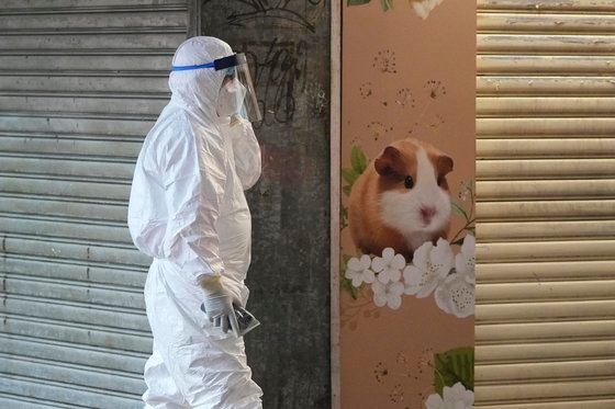 홍콩의 한 방역 요원이 애완동물 매장 앞을 지나가고 있다. 홍콩에서는 햄스터 2000마리를 안락사시키기로 했다. AP 연합뉴스