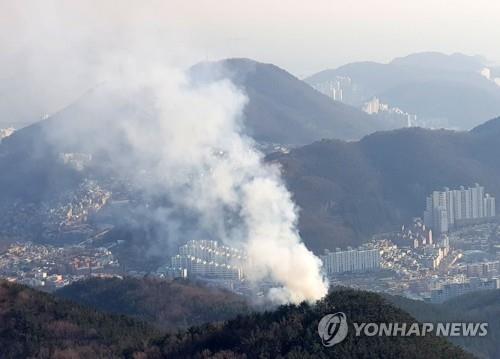 산불 [연합뉴스 자료사진]