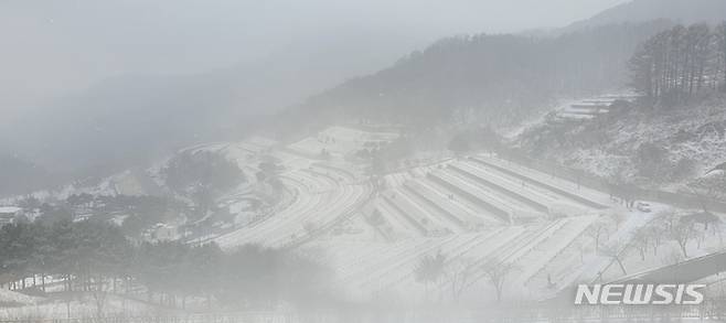 [청주=뉴시스] 조성현 기자 = 설 당일인 1일 오전 충북 청주시 상당구 월오동 목련공원에 눈이 내리고 있다. 2022.02.01. jsh0128@newsis.com
