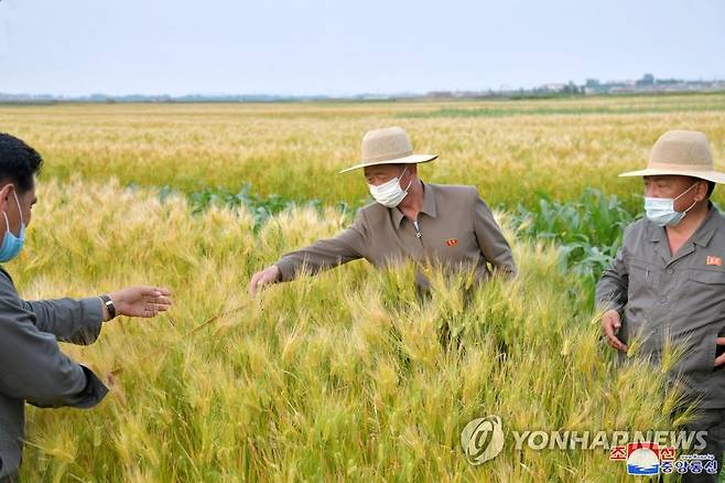 북한 김덕훈 내각총리, 황해남도의 농업부문 사업 현지 시찰 (평양 조선중앙통신=연합뉴스) 북한 김덕훈 내각총리가 황해남도의 농업부문 사업을 현지 시찰했다고 조선중앙통신이 지난해 6월 8일 보도했다. [국내에서만 사용가능. 재배포 금지. For Use Only in the Republic of Korea. No Redistribution] nkphoto@yna.co.kr