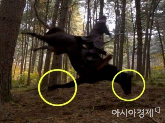 드라마 태종 이방원 촬영 도중 와이어에 발이 묶여 쓰러지는 까미 [동물권행동 카라 홈페이지 사진 캡처]