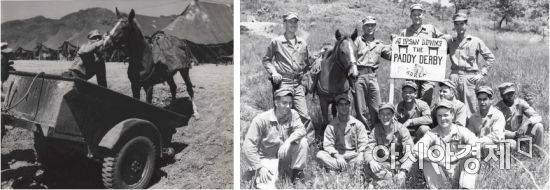 레클리스와 미 해병대원들 [연천군]