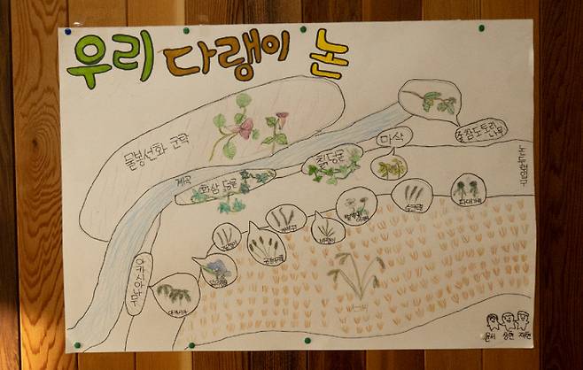 상주초 아이들이 그린 다랑논 생태 지도. | 채용민 PD
