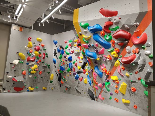 CJ CGV가 CGV피카디리1958 내 상영관을 개조해 만든 클라이밍짐 피커스. 최고 높이가 5.7m에 달한다. /배동주 기자