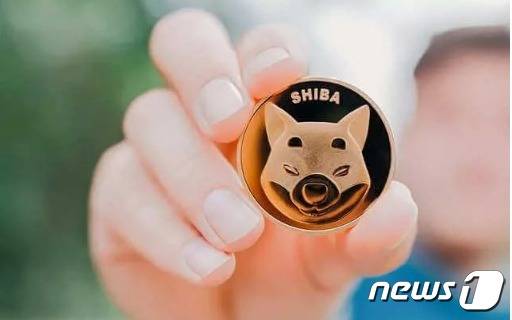 시바이누코인 시각물 - 시바이누 홈피 갈무리