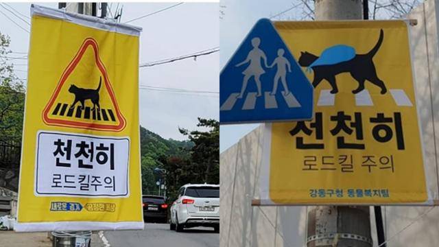 경기도가 지난해 수원 시내에 설치했던 고양이 보호 안전 표지물(왼쪽)과 2019년 서울시 강동구 둔촌동 재개발지역에 설치됐던 안전 표지물. 모두 포도(작가명) 디자이너가 맡았다. 좋은냥이 좋은사람들, 포도 디자이너 제공