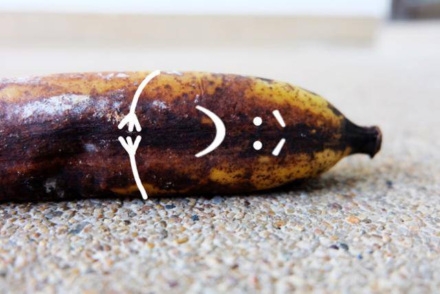 게티이미지뱅크