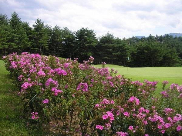 플라자설악. 사진제공 | XGOLF