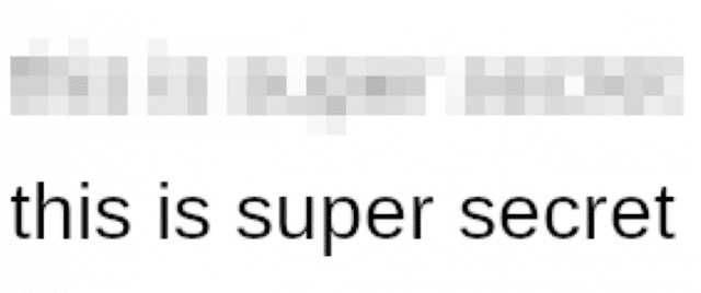 비숍폭스가 픽셀화된 이미지에서 원본 텍스트를 재구성할 수 있는 도구를 만들어 시연했다.(이미지=비숍폭스 블로그 캡처)