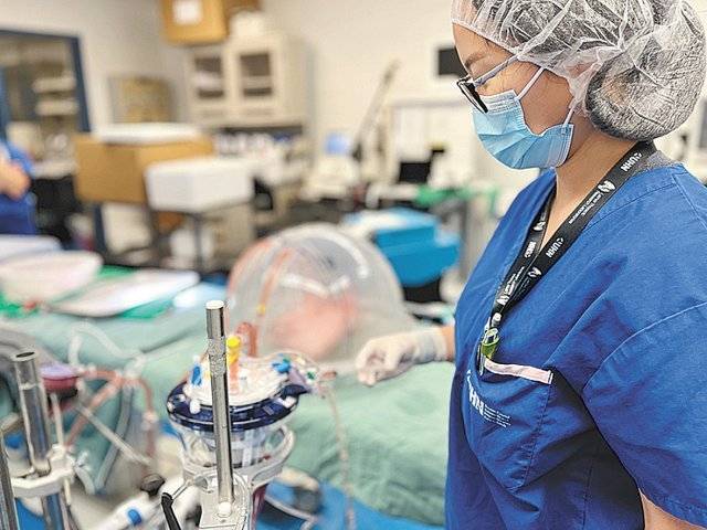 토론토대 연구팀이 이식용 폐의 혈액형을 A형에서 O형으로 바꾸는 실험을 진행 중이다. 유니버시티 헬스 네트워크 제공