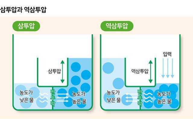 삼투압과 역삼투압. 그래픽=신동준 기자