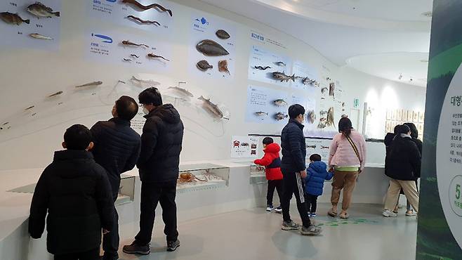 무안황토갯벌랜드 표본전시관 *재판매 및 DB 금지