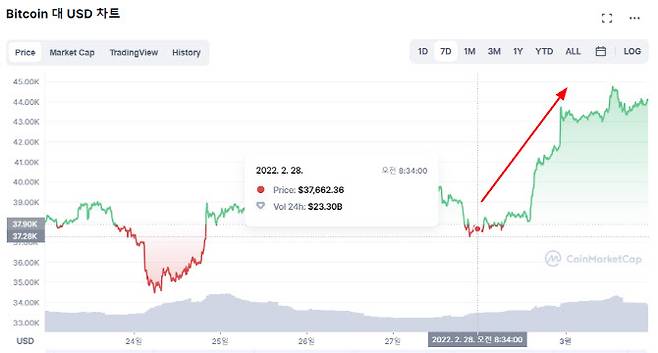 최근 1주일 비트코인 시세. (사진=코인마켓캡)
