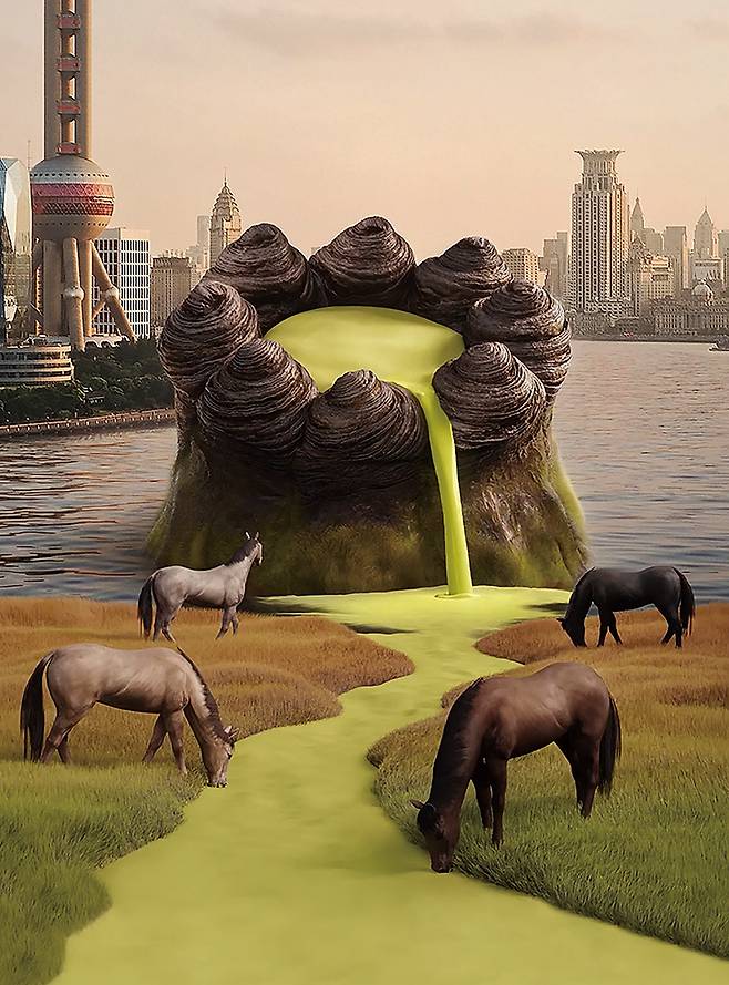 ‘위어드’한 매력의 ‘peak cake’ 시리즈.