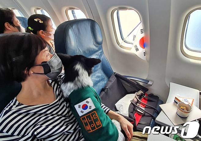 어나더베이비는 1일 '반려견과 함께하는 3.1절 기념 울릉도(DOG도) 비행' 행사를 주최했다. 강희재씨가 강아지를 안고 창밖을 바라보고 있다. © 뉴스1 최서윤 기자