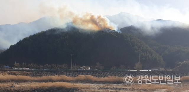 ▲ 삼척산불이 이틀째 확산중인 가운데, 5일 오후까지 원덕읍 산양리와 사곡리 일원 산림 주불을 잡지 못해 밤 사이 추가 확산 우려가 고조되고 있다.