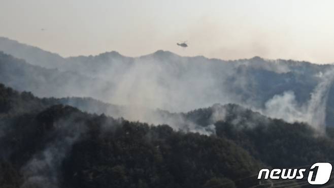 8일 강원 동해시 비천골 산불현장에 투입된 소방 헬기가 산불 진화 작전을 펼치고 있다.(강원도소방본부 제공) 2022.3.8/뉴스1 © News1 이종재 기자