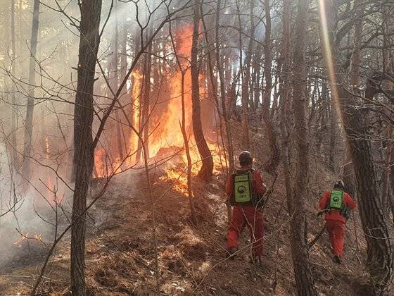 산림청 산림항공본부 항공진화대원들이 6일 경북 울진군 북면 일원에서 산불 진화 작업을 펼치고 있다. [뉴스1]